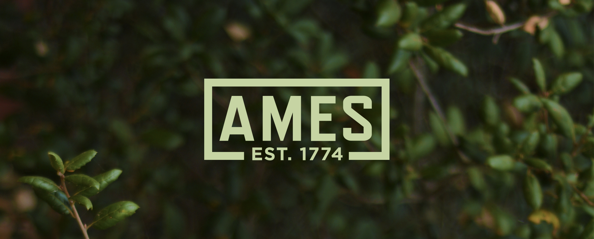 Ames_Logo