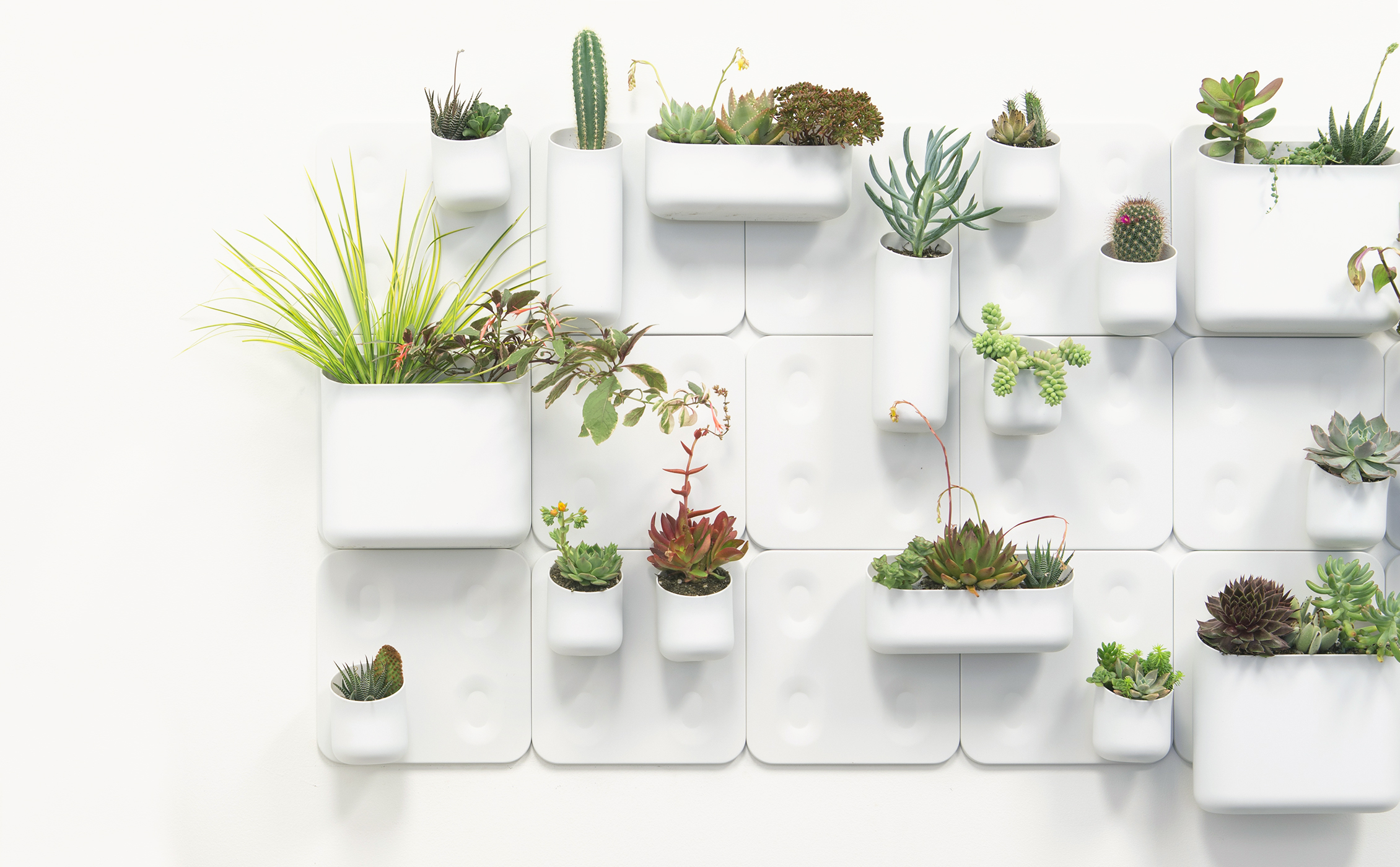 Urbio_Wall