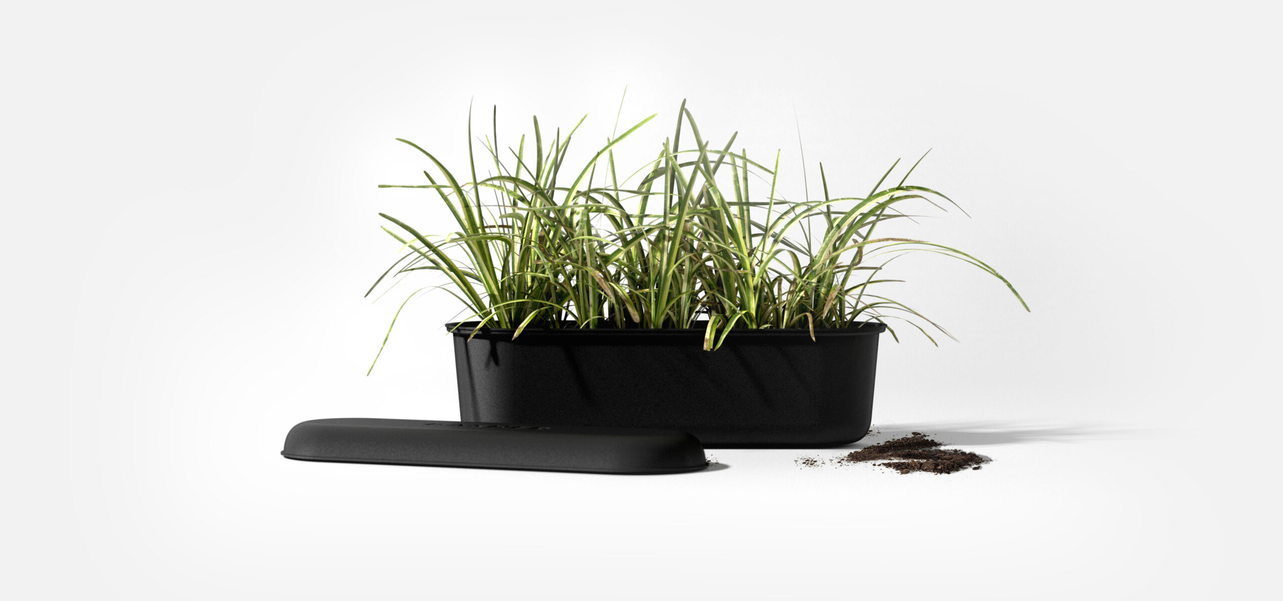Enlisted-Design-Allbirds-Dasher-VIP-Packaging-Design-Box-With-Plants-narrow